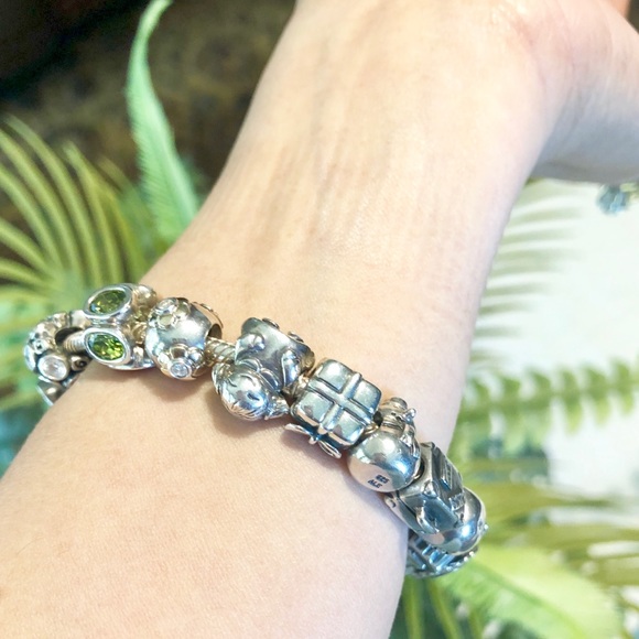 Pandora💙Bracelet with 19 Charms - Picture 6 of 8